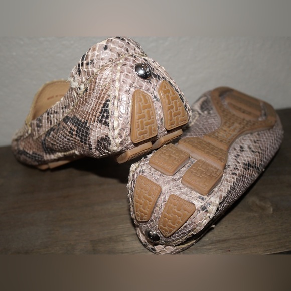 Cole Hann - Picture 4 of 4